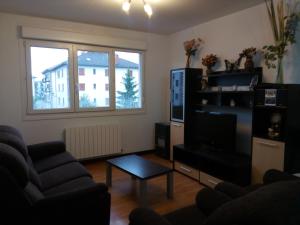 a living room with a couch and a tv at LEKU-EDER in Elizondo