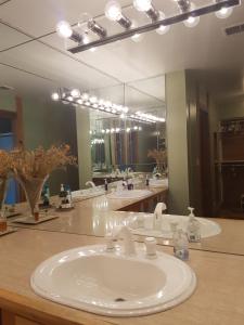 ein Bad mit einem Waschbecken und einem Spiegel in der Unterkunft Superior in Chicago