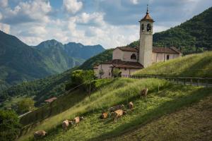 un gruppo di mucche che pascolano su una collina accanto a una chiesa di cimmo a Tavernole sul Mella