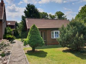 a small house with a tree in the yard at Tannenzapfen in Kratzeburg