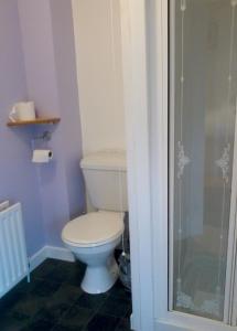 a white toilet sitting in a bathroom next to a window at Finn MacCools Public House & Guest Inn in Bushmills