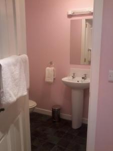 a bathroom with a sink and a toilet and a mirror at Finn MacCools Public House & Guest Inn in Bushmills