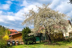 Zahrada ubytování Gemütliches, heimeliges Ferienhaus