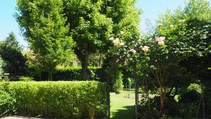 Zahrada ubytování R&B Giardino 34