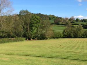 Gallery image of The Studio in Wiveliscombe