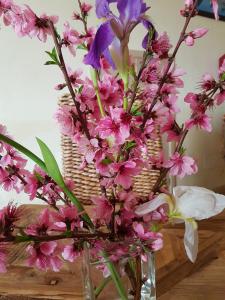 a vase filled with pink flowers on a table at Terre Di Vendicari in Noto