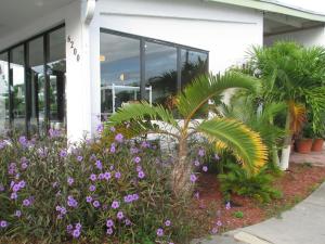 a garden with flowers in front of a building at Shalimar Motel in Miami