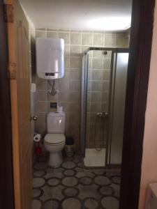 a small bathroom with a toilet and a shower at Times Apart in Çeşme +17 photos