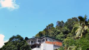 a house on top of a hill with trees at Hiranya Mountain View Hostel Kandy in Kandy