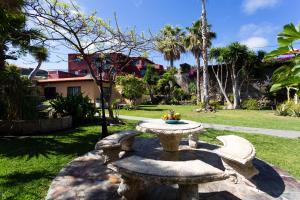 a stone fountain in the middle of a yard at Finca La Gaviota - El Granito in Icod de los Vinos