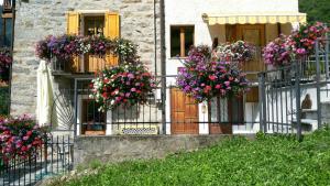 Zahrada ubytování B&B Maison Vallomy