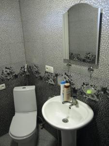 Kupatilo u objektu Guest house Ebralidze