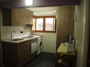 a small kitchen with a sink and a dishwasher at Minaya in Burgos