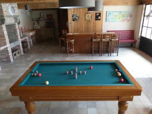 Biliardový stôl v ubytovaní vakantiehoeve 't Goed ter Leeuwen