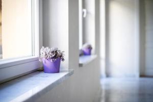 Fotografie z fotogalerie ubytování Dönhoff Residence v destinaci Pärnu