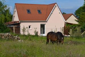 um cavalo a pastar num campo em frente a uma casa em Le Paddock des Caloges em Le Tilleul