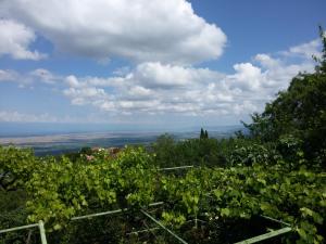 Paesaggio naturale nelle vicinanze dell'affittacamere