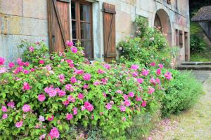 un mazzo di fiori rosa di fronte a un edificio di Au Temps de la Source a Raon-aux-Bois