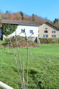 een boom in een veld met een huis op de achtergrond bij Au Temps de la Source in Raon-aux-Bois