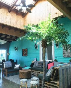 a living room with a couch and a palm tree at Auberge Paradis Bleu in Fatima