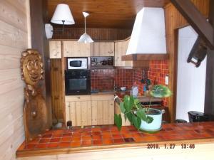 a kitchen with a tiled counter with a plant in it at 965 avenue leopold Fabre GITE LE LANTIER in Lans-en-Vercors