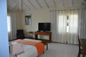 a hotel room with a bed and a television at Ferradura Parque Pousada in Búzios