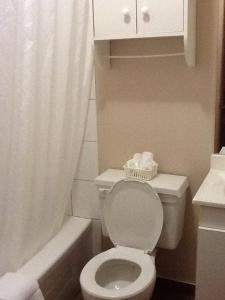 a bathroom with a toilet and a shower and a sink at Motel Du Parc Masson in Gatineau