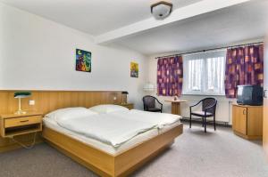 Voodi või voodid majutusasutuse Hotel Heidler toas