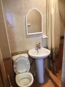 bagno con servizi igienici, lavandino e specchio di Guest house Tsandrypsh a Tsandrypsh