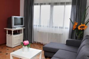 Μια τηλεόραση ή/και κέντρο ψυχαγωγίας στο La Hojarasca