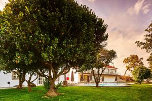 Um jardim no exterior de Convento do Seixo Boutique Hotel & Spa