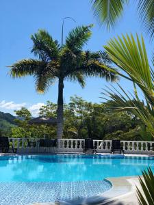 uma palmeira sentada ao lado de uma piscina em Hotel Med Doradal em Doradal
