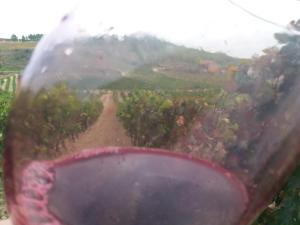 a wine glass with a view of a dirt road at Carpe Diem in Navaridas