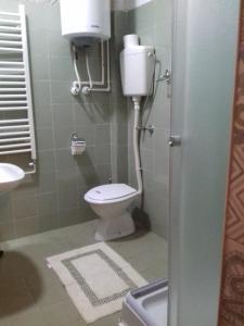 a bathroom with a toilet and a sink at Guest House Dimitrije in Niška Banja