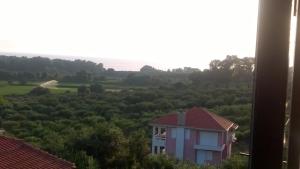 Příroda nedaleko hotelu