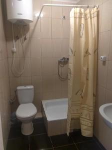 Bilik mandi di Hotel Andreevsky