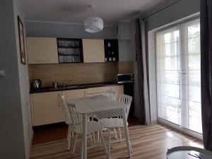 Kuchyňa alebo kuchynka v ubytovaní Apartament Grześ + 8 fotografií