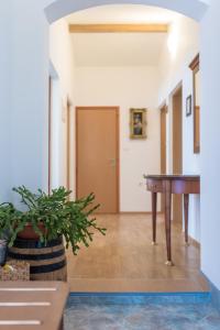 Fotografie z fotogalerie ubytování Apartment Marija v destinaci Vižinada