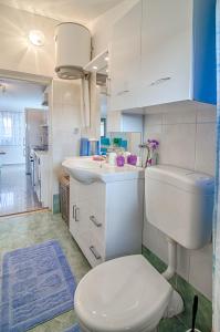 Kuchyň nebo kuchyňský kout v ubytování Apartman Ana