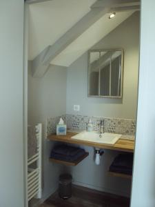La salle de bains est pourvue d'un lavabo et d'un miroir. dans l'établissement Tartine & Polochon, à Longué