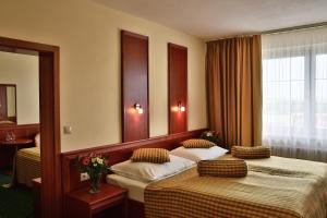 プルゼニにあるプリマヴェーラ ホテル ＆ コングレス センターのベッド2台と鏡が備わるホテルルームです。