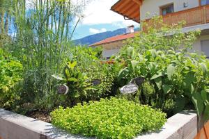 A garden outside Ferienwohnung Mair am Bach