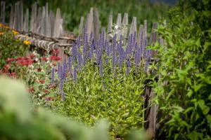 A garden outside Ferienwohnung Mair am Bach