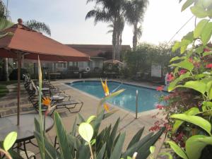 a swimming pool with a umbrella and some plants at Old Town Inn in San Diego