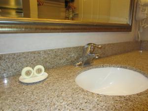 a bathroom counter with a sink and a mirror at Old Town Inn in San Diego