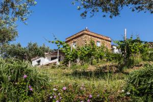 ein altes Haus auf einem Hügel in der Unterkunft Impietra in Agropoli