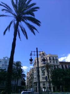 バレンシアにあるVery central and sunny apartment in Gran Viaの建物のある通り灯りの横のヤシの木