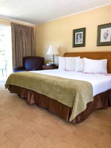Ένα ή περισσότερα κρεβάτια σε δωμάτιο στο Lyn Aire Motel - Lake George