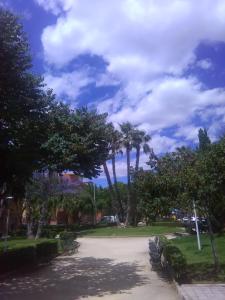バレンシアにあるVery central and sunny apartment in Gran Viaのヤシの木と曇り空のある公園