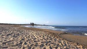 Photo de la galerie de l'établissement URBANIZACION PUERTO ROMANO - PLAYA, à La Mata 44 autres photos